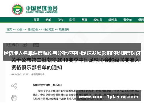足协准入名单深度解读与分析对中国足球发展影响的多维度探讨